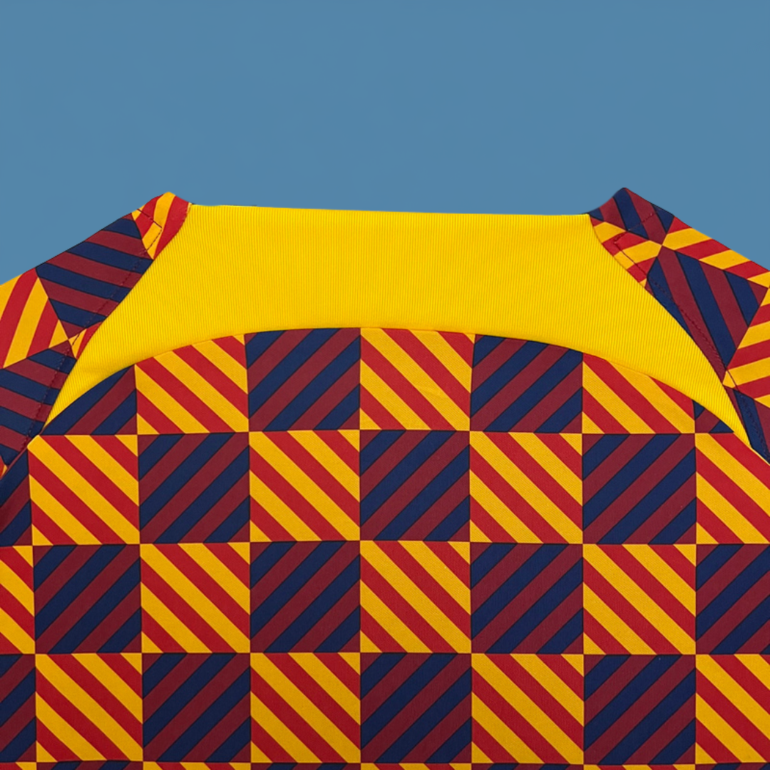 Camiseta Entreno Barcelona 23/24